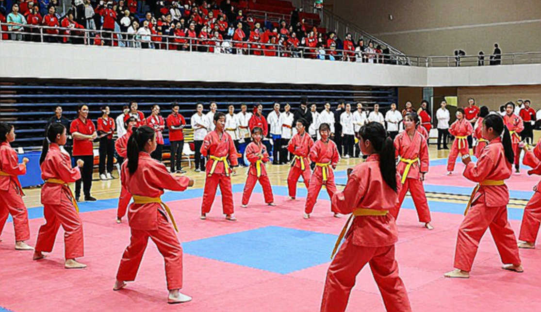 Võ thuật Việt Nam và chu kỳ bảy năm: Khi 14.267 trận đấu lên tiếng