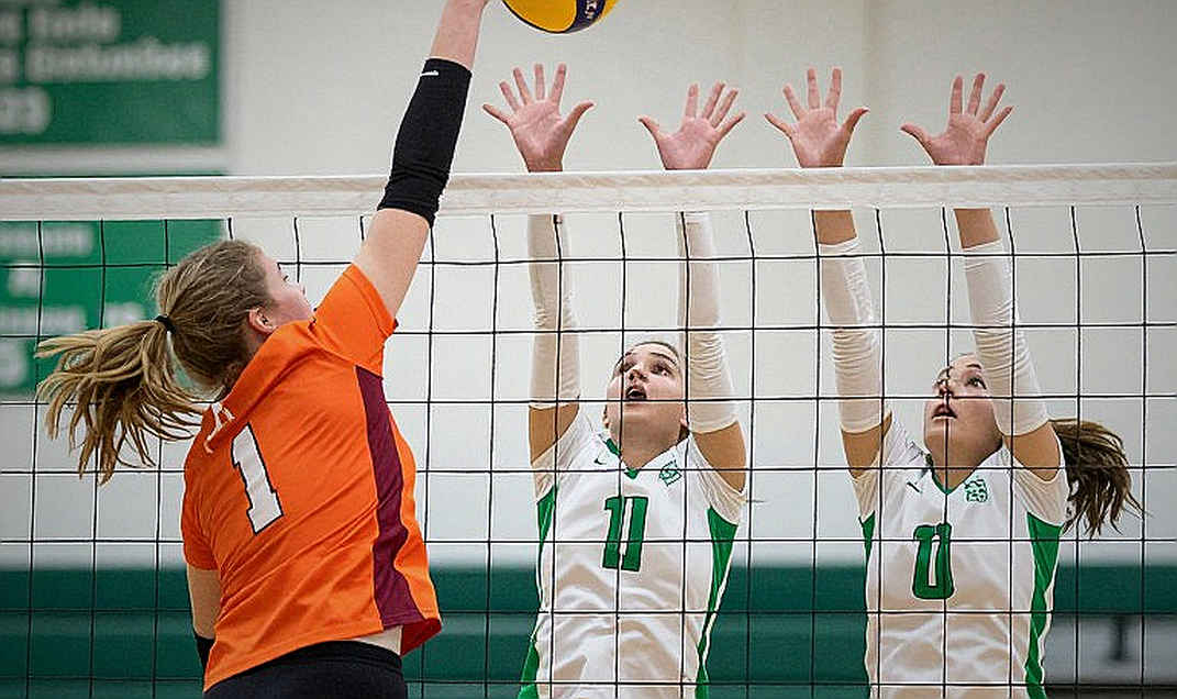 Esports Việt Nam và bài toán dữ liệu trống: Khi cảm tính là kẻ thù của hợp đồng
