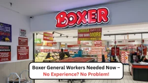 Boxer General Workers Needed Now – No Experience_ No Problem!