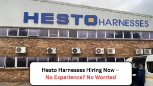 Hesto Harnesses Hiring Now – No Experience No Worries!