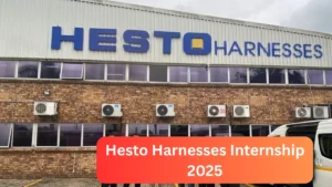 Hesto Harnesses Internship Details