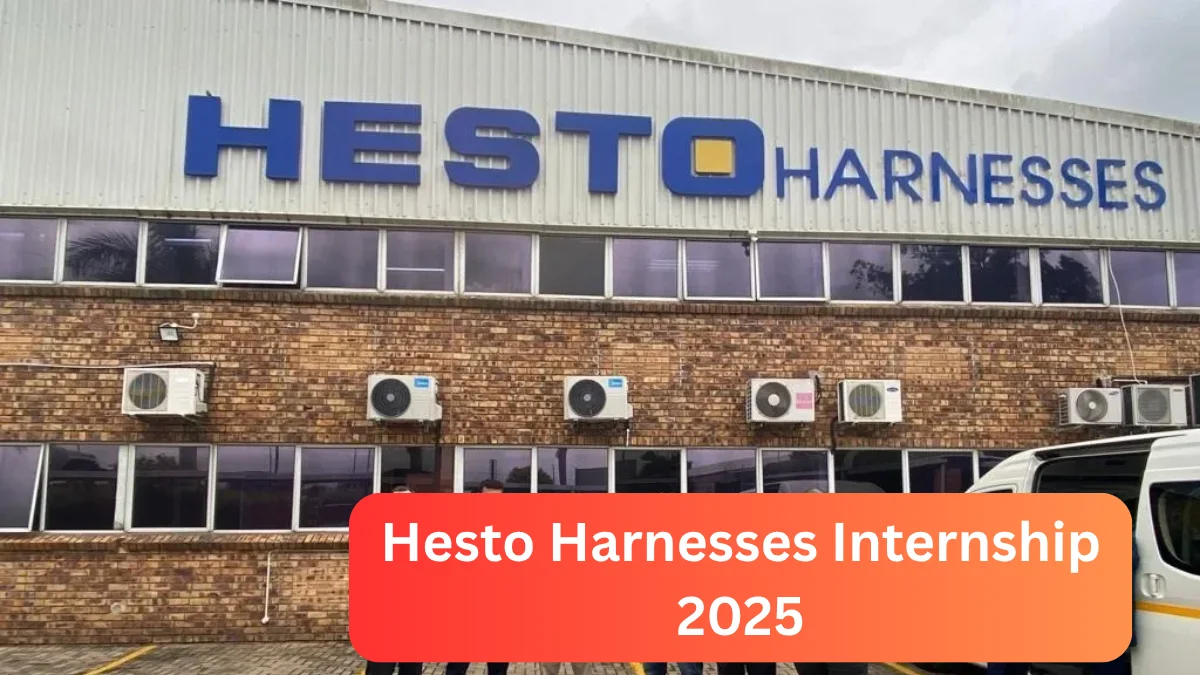 Hesto Harnesses Internship Details