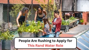 People Are Rushing to Apply for This Rand Water Role