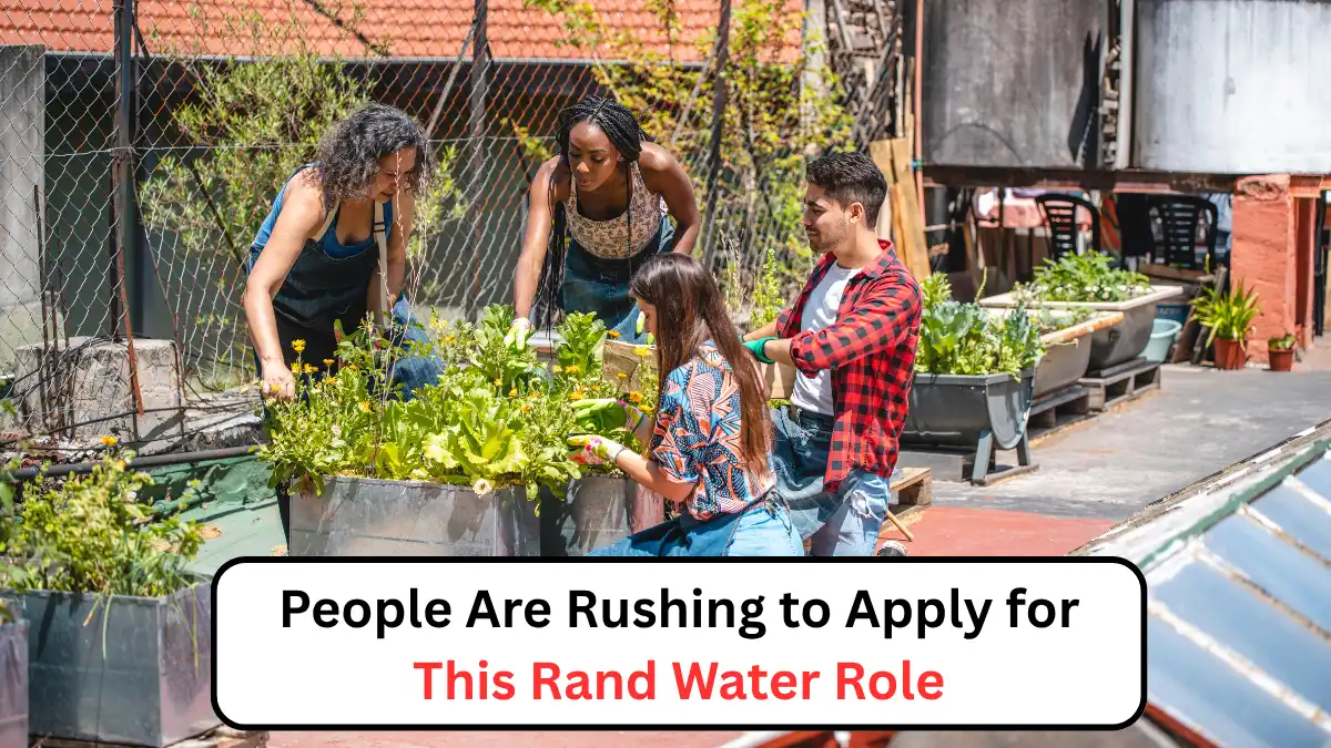 People Are Rushing to Apply for This Rand Water Role