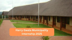Public Management Internship Details