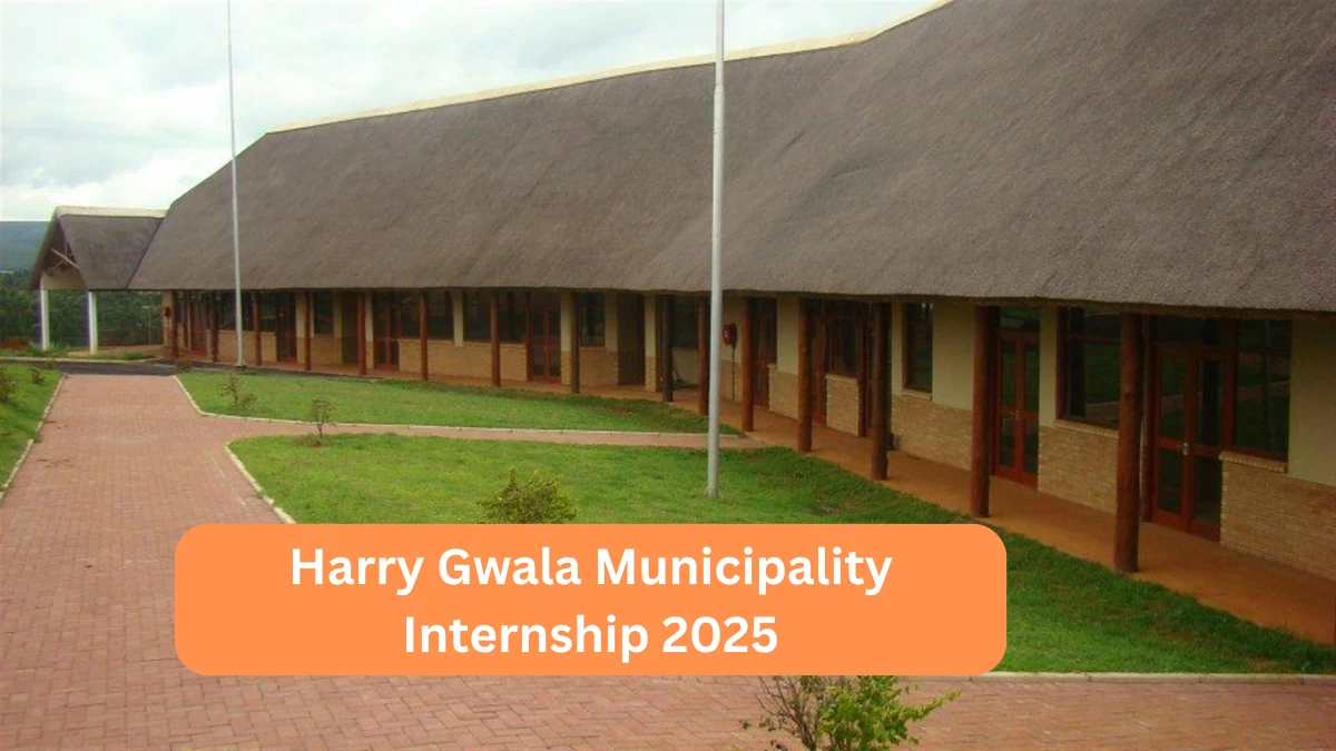 Public Management Internship Details