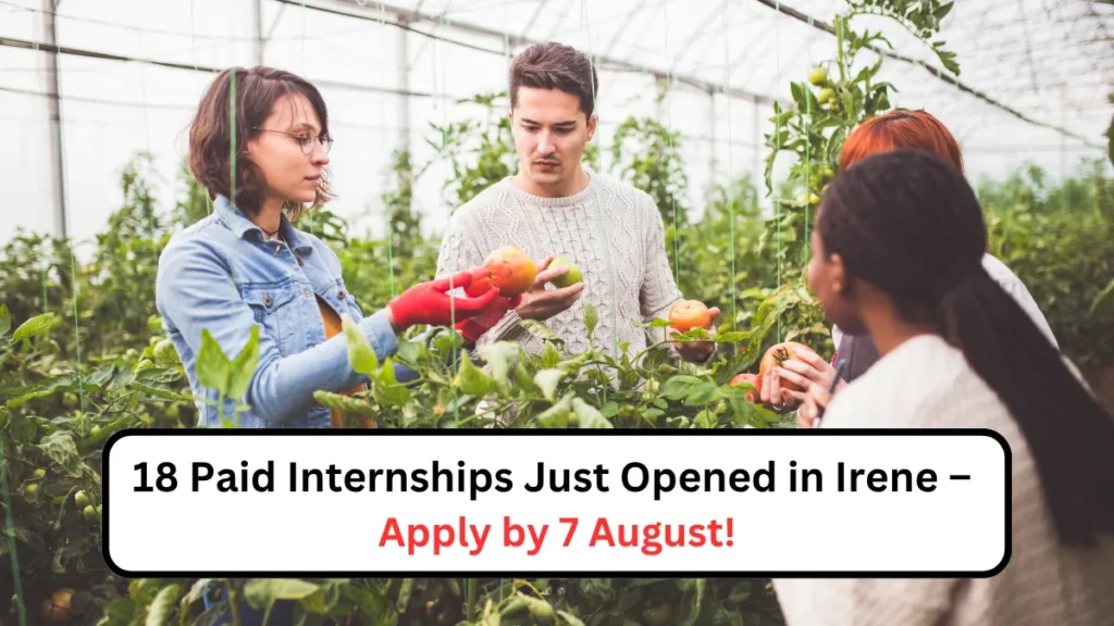 18 Paid Internships Just Opened in Irene – Apply by 7 August!