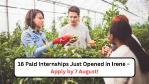 18 Paid Internships Just Opened in Irene – Apply by 7 August!
