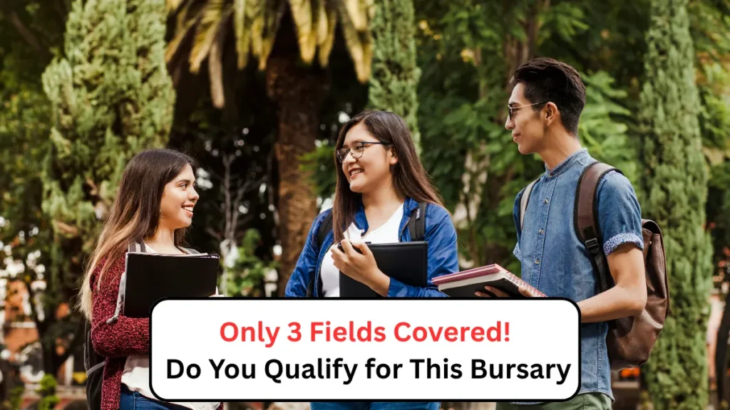 Only 3 Fields Covered! Do You Qualify for This Bursary